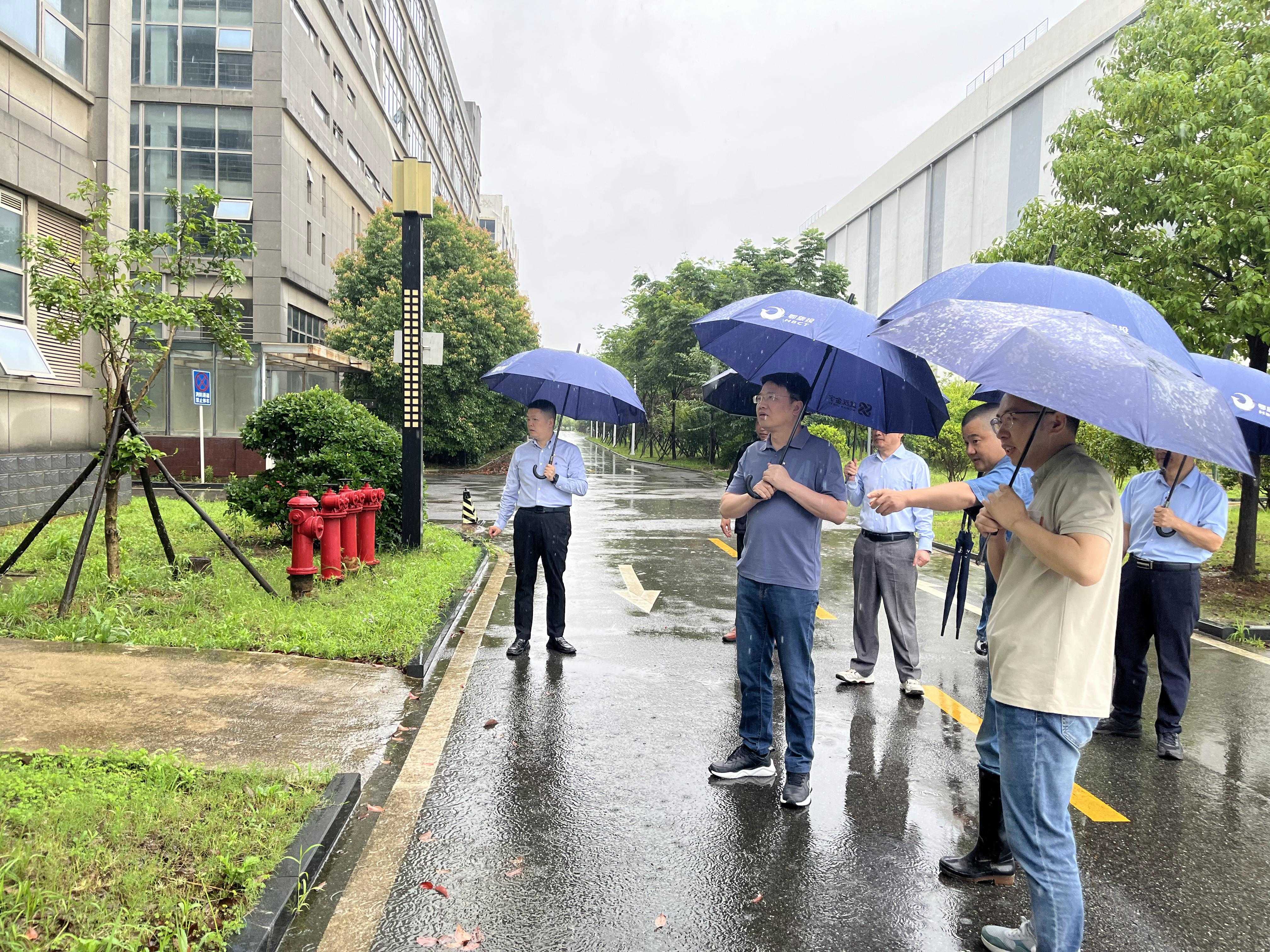 香港六宝典资料大全